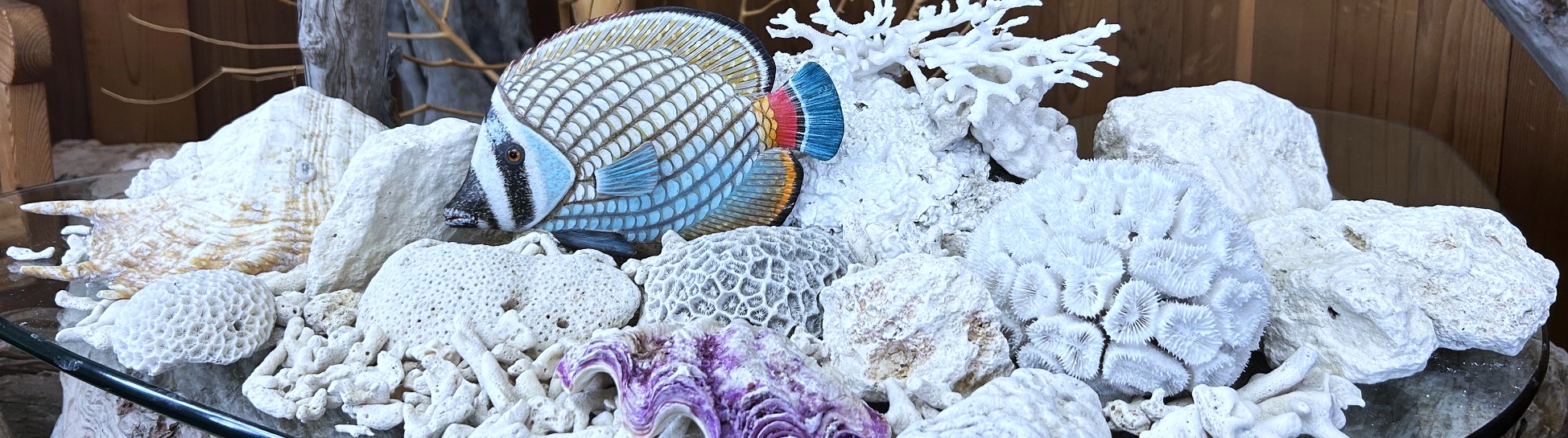 コーラルストーン